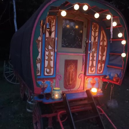 Groléjac Git'An Perigord La Bohemienne 아파트 외부 사진