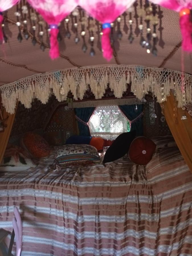 Groléjac Git'An Perigord La Bohemienne 아파트 외부 사진